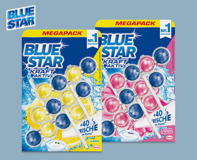BLUE STAR WC-Beckensteine