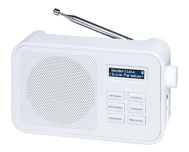 TERRIS audio Tragbares DAB+ Radio