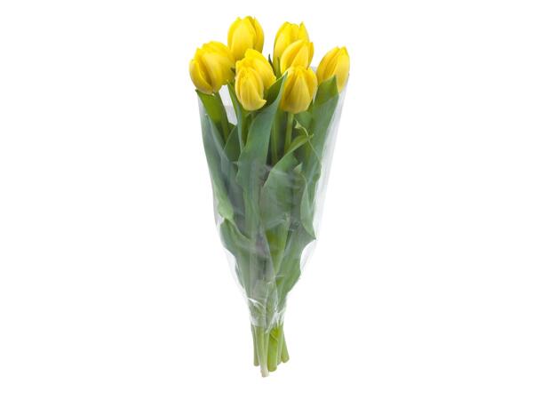 Rózsa- / tulipán- / gerberacsokor