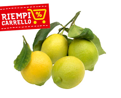 NATURA FELICE Limoni BIO 500 g