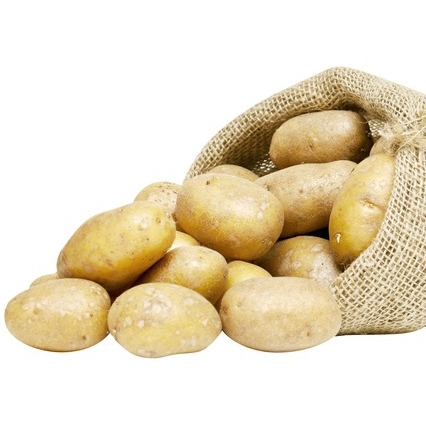 Pommes de terre de consommation "Cicero"