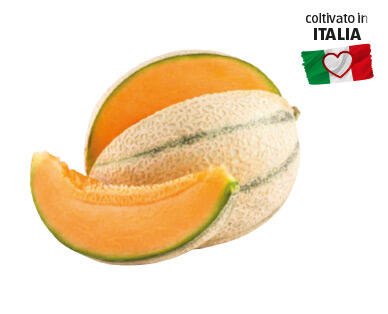 I COLORI DEL SAPORE 
 Melone