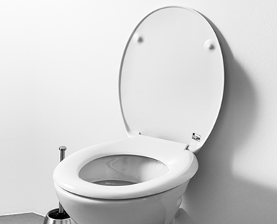 Asse per WC con meccanismo a discesa automatica EASY HOME(R)