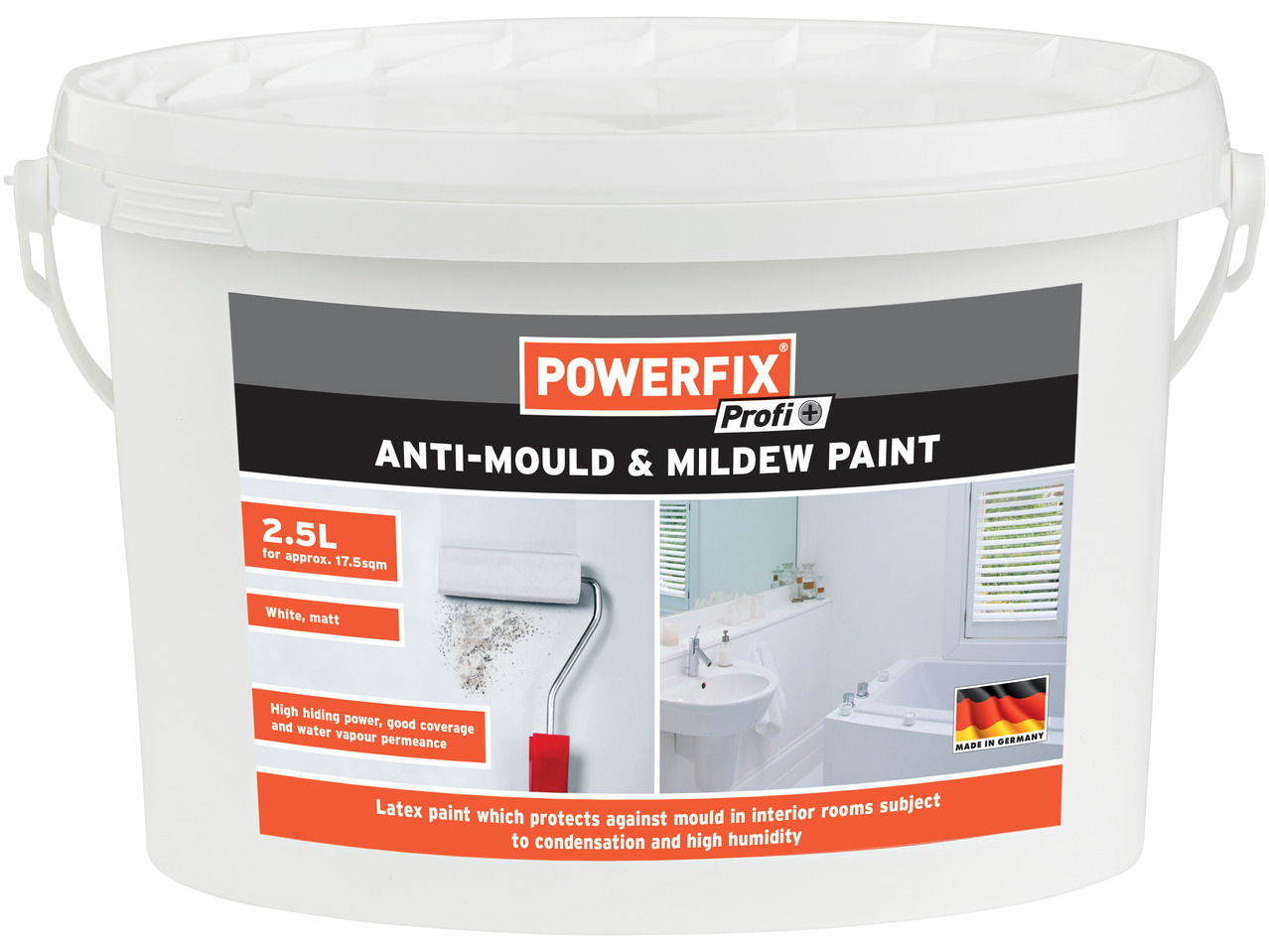 Anti Mould and Mildew Paint