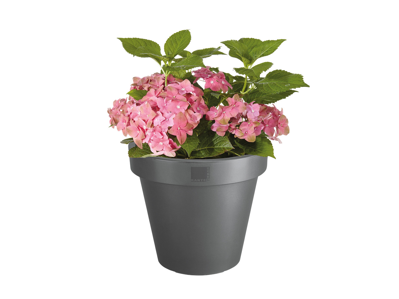 Florabest Plant Pots1