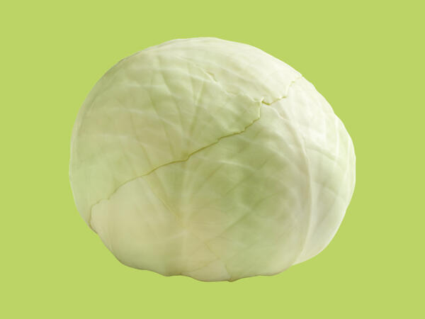 British White Cabbage