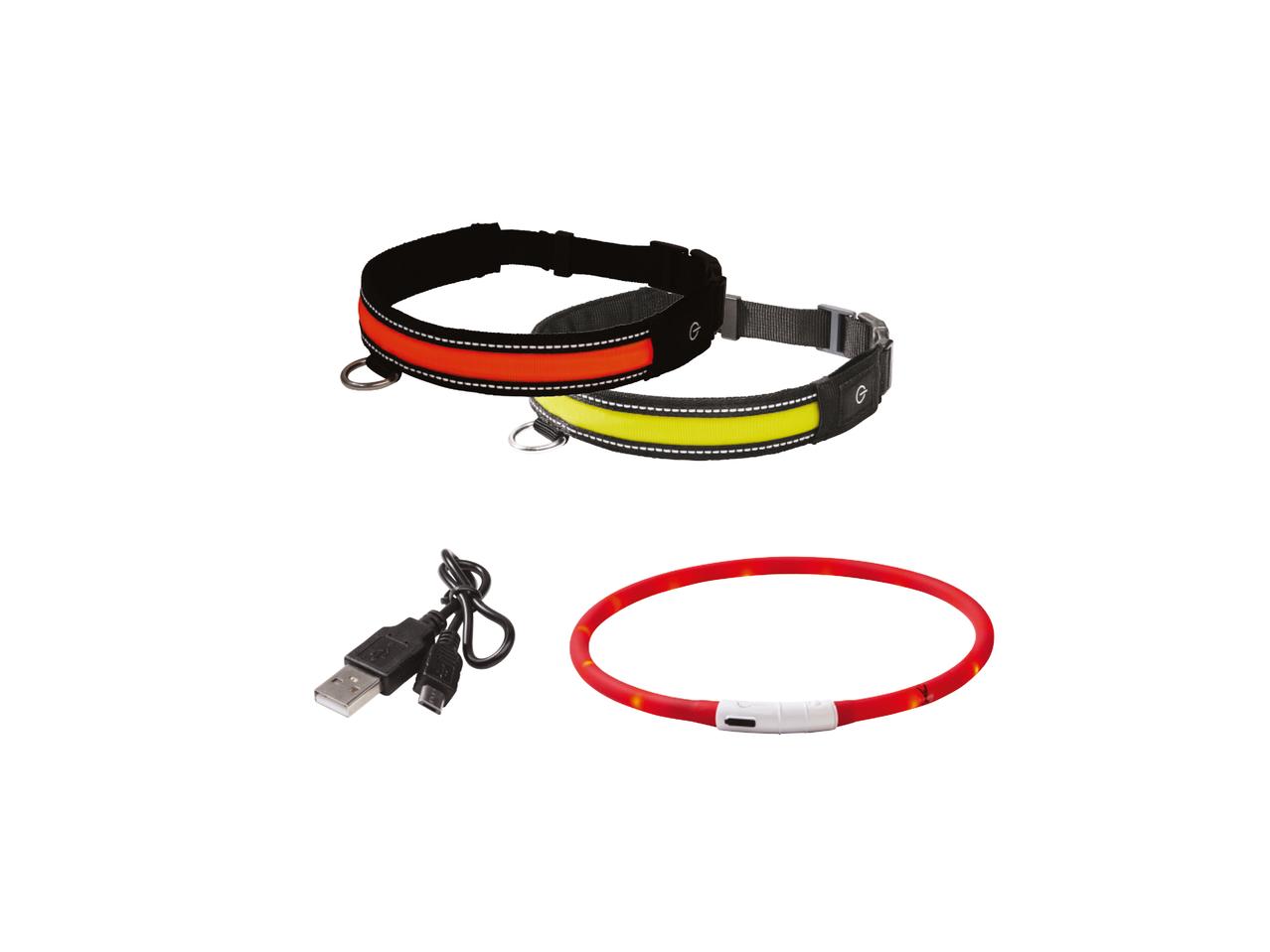 ZOOFARI LED Dog Glow Band/Collar
