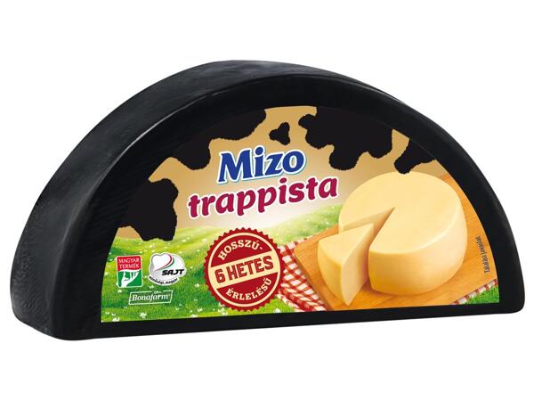 Trappista sajt