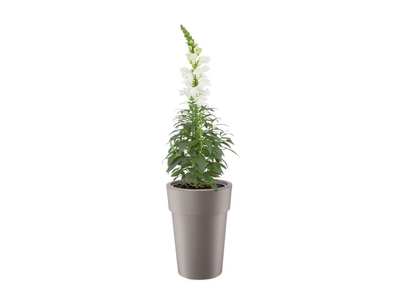 Florabest Plant Pot - Available from 30th April1