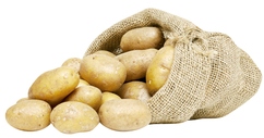 Pommes de terre de consommation "Adora"