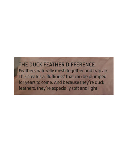 Duck Feather King Duvet