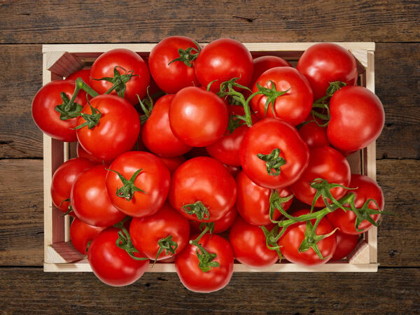 Tomates en grappe bio