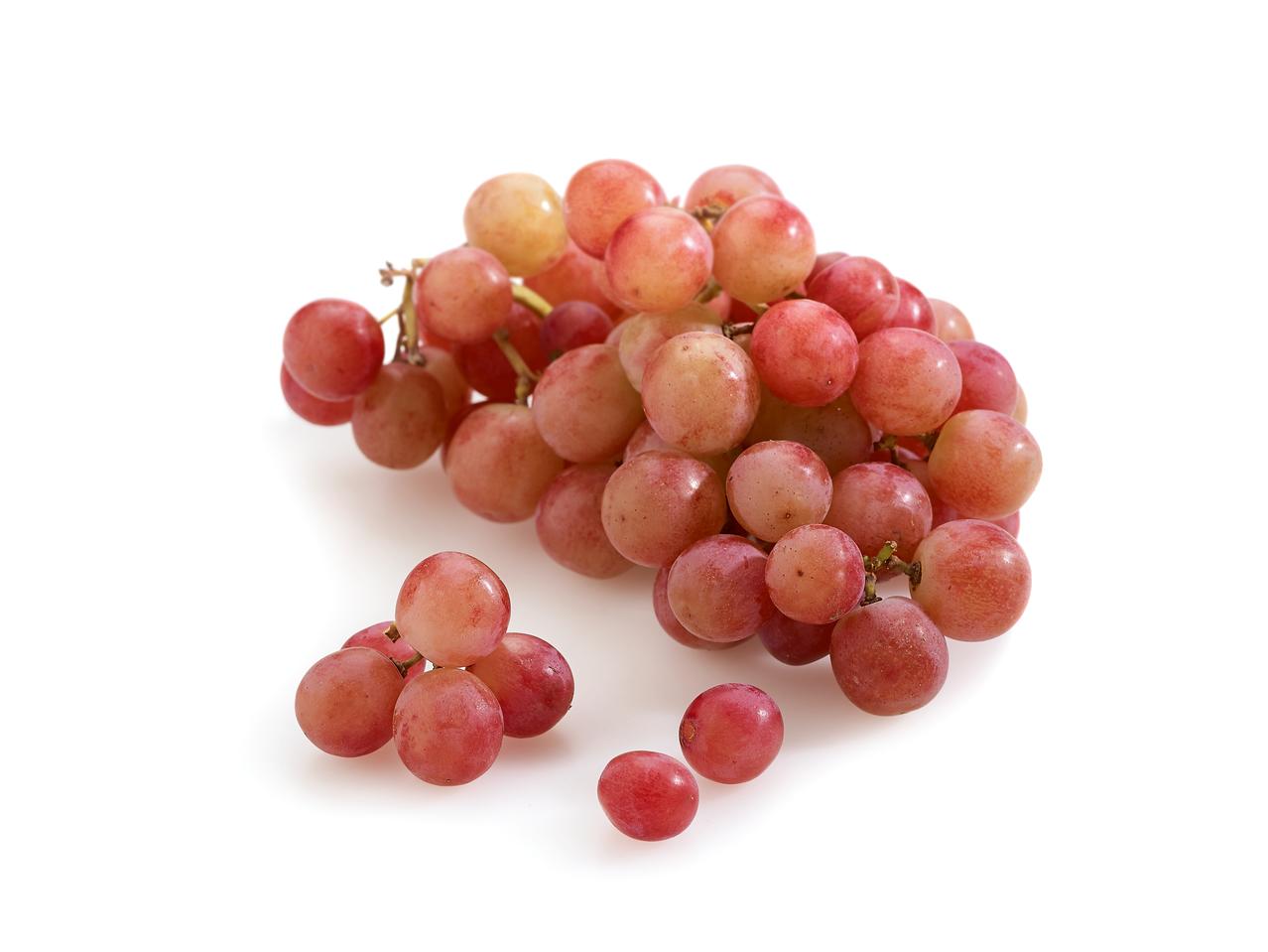 Rode pitloze druiven