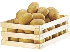 Pommes de terre "Agata"