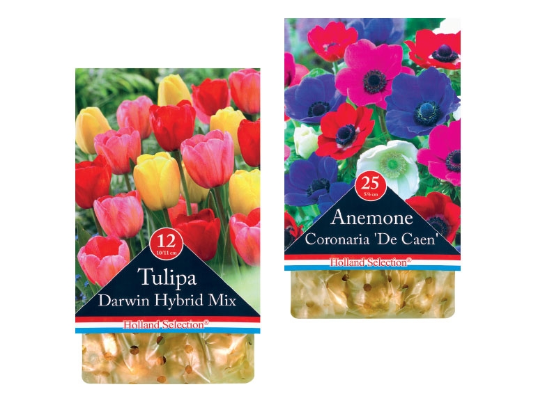 HOLLAND SELECTION Spring Flowering Bulbs