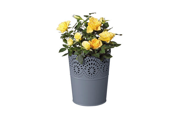 Florabest(R) Vaso Decorativo em Metal
