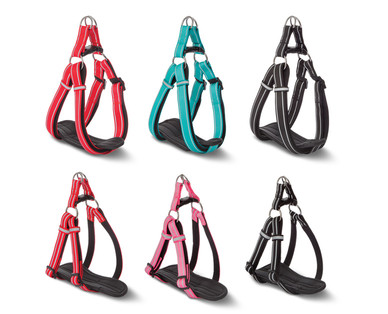 Heart to Tail Padded Pet Leashes or Dog Harnesses