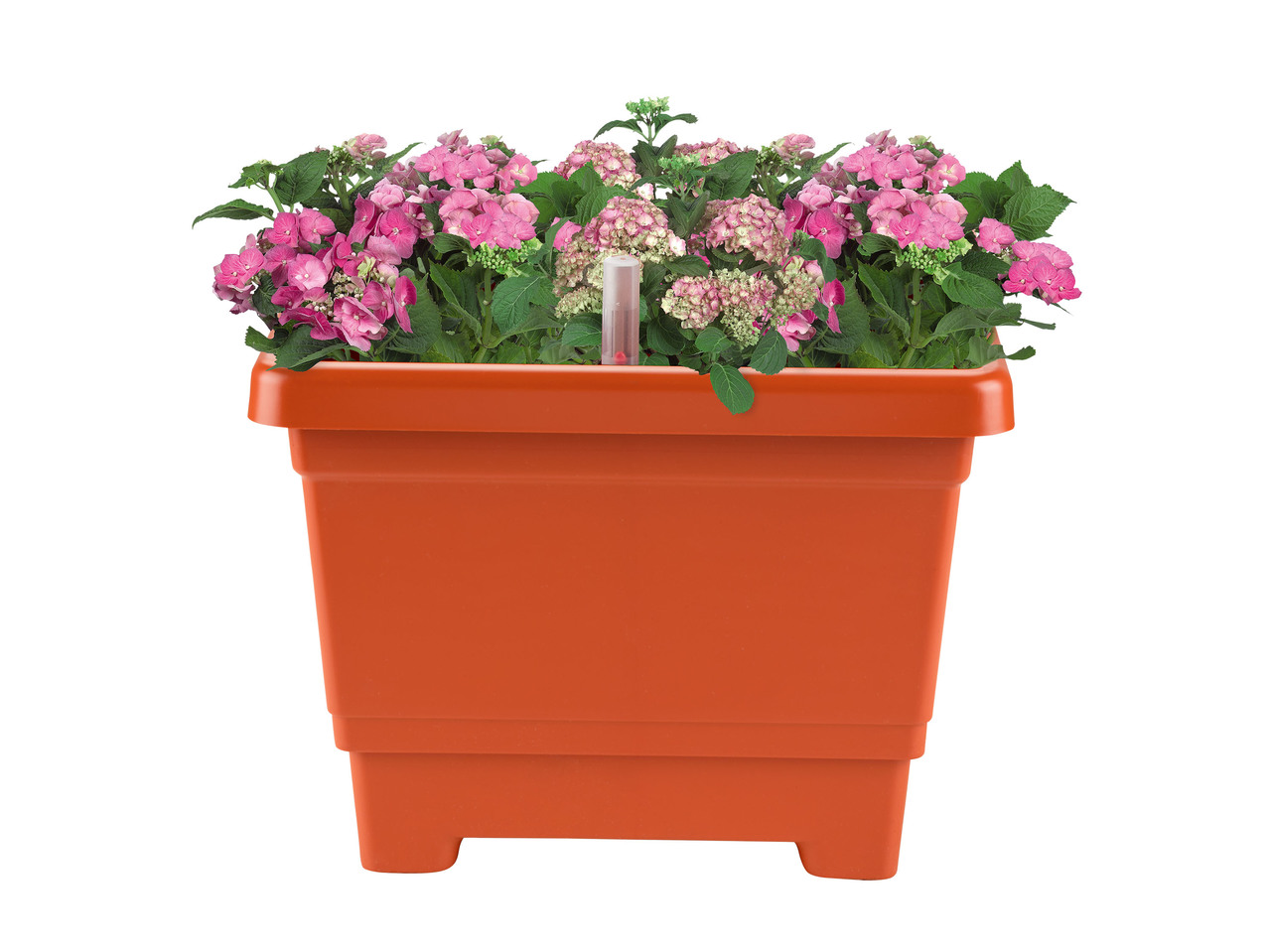 FLORABEST(R) Floreira/ Vaso com Sistema de Irrigação
