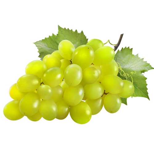 Raisins blancs "Vittoria"