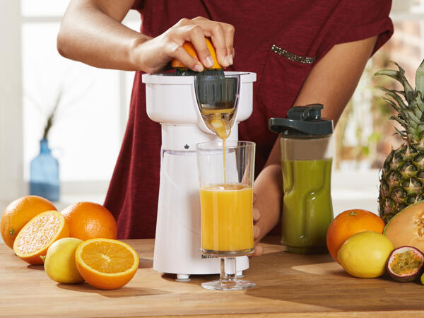Smoothie-Maker 2-in-1