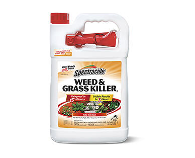 Spectracide Weed & Grass Killer or Bug Stop