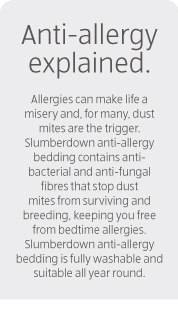 Anti-Allergy Pillow Pair