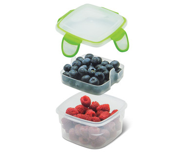 Crofton Snack Container