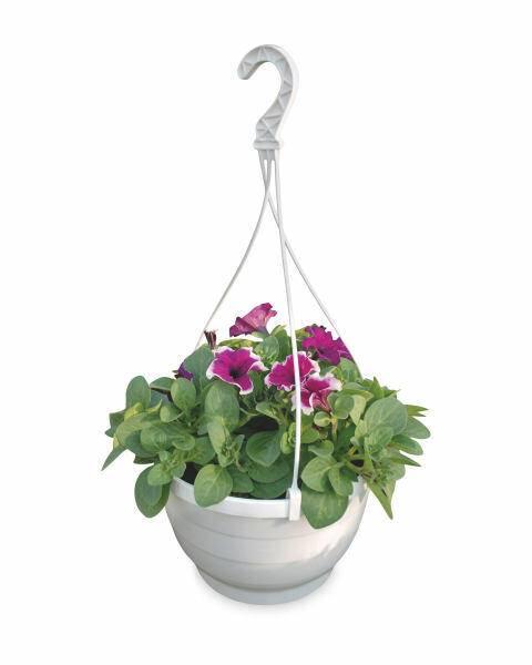 Garden Grá Surfinia Hanging Basket