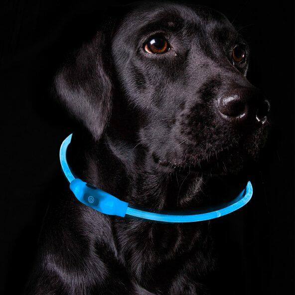 ROMEO(R) 	 				Halsband voor honden
