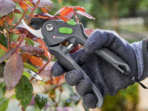 Anvil or Bypass Secateurs