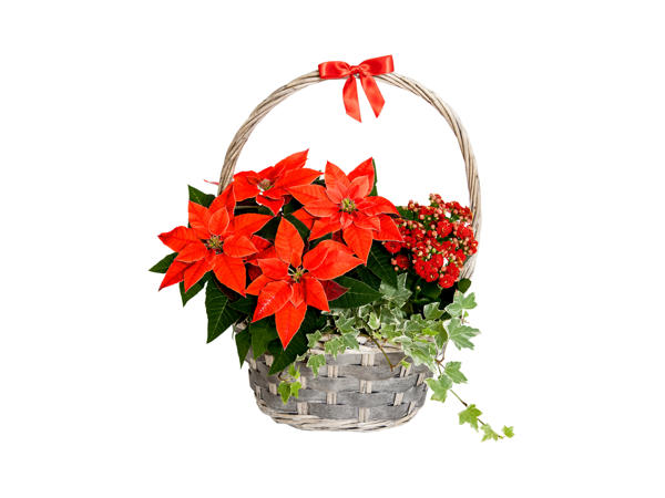 Christmas Basket