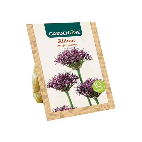 GARDENLINE(R) 				Bulbes à fleurs ail d'ornement