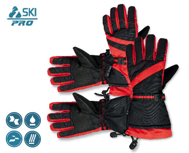 Ski Pro Gloves