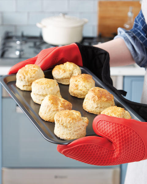 2 Pack Oven Trays