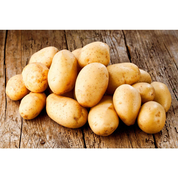 Pommes de terre de consommation Bio