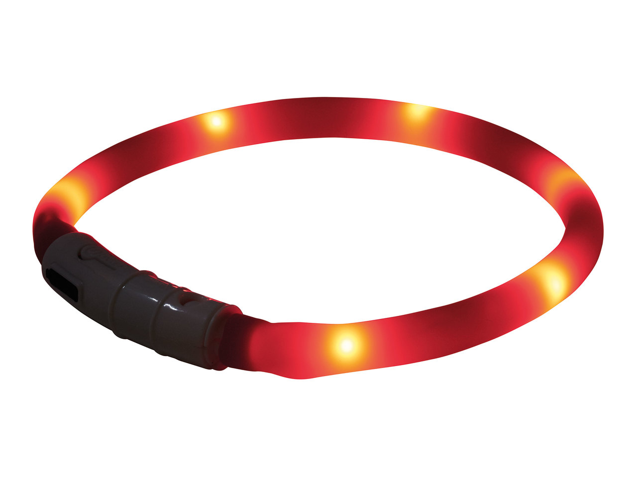 Zoofari LED Collar or Glow Band1