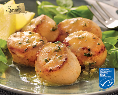 Specially Selected Large Scallops