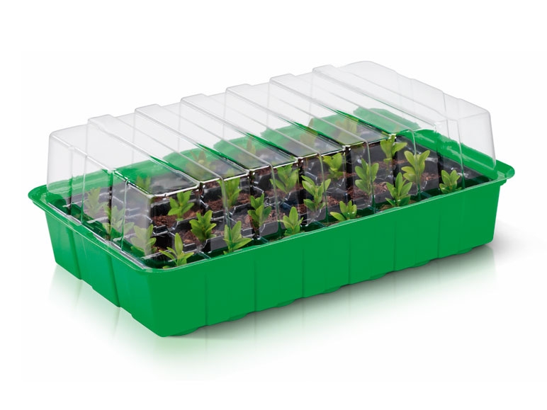 FLORABEST Seed Box Set