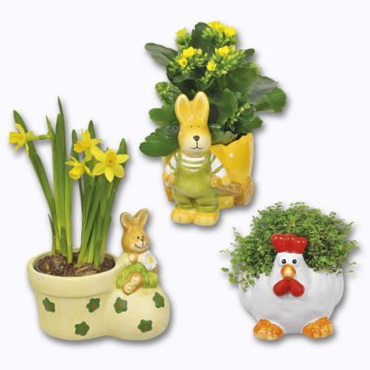 Plante en cache-pot décors Pâques