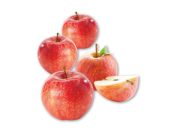 Royal Gala æbler