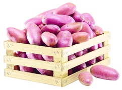 Pommes de terre "Franceline"