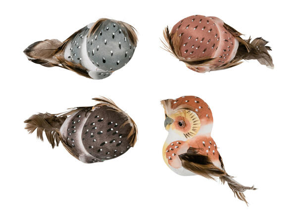 Livarno Home Decorative Bird Clips