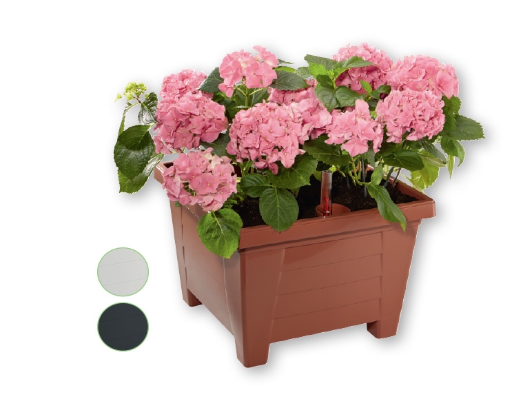 Florabest(R) Self-Watering Plant Pot