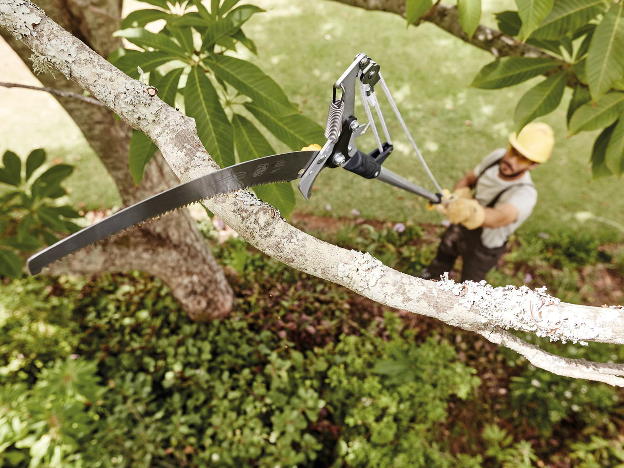 Florabest Extendable Tree Pruner with Saw1