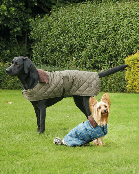 Blue Tartan Quilted Dog Coat