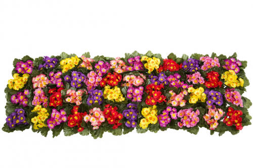 Bouquets de fleurs artificielles