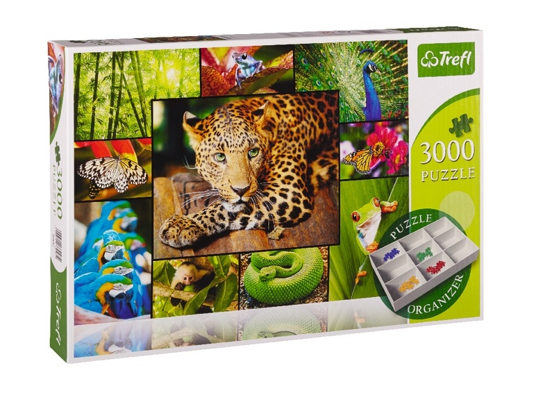 Puzzle, 3000 piese, 6 modele
