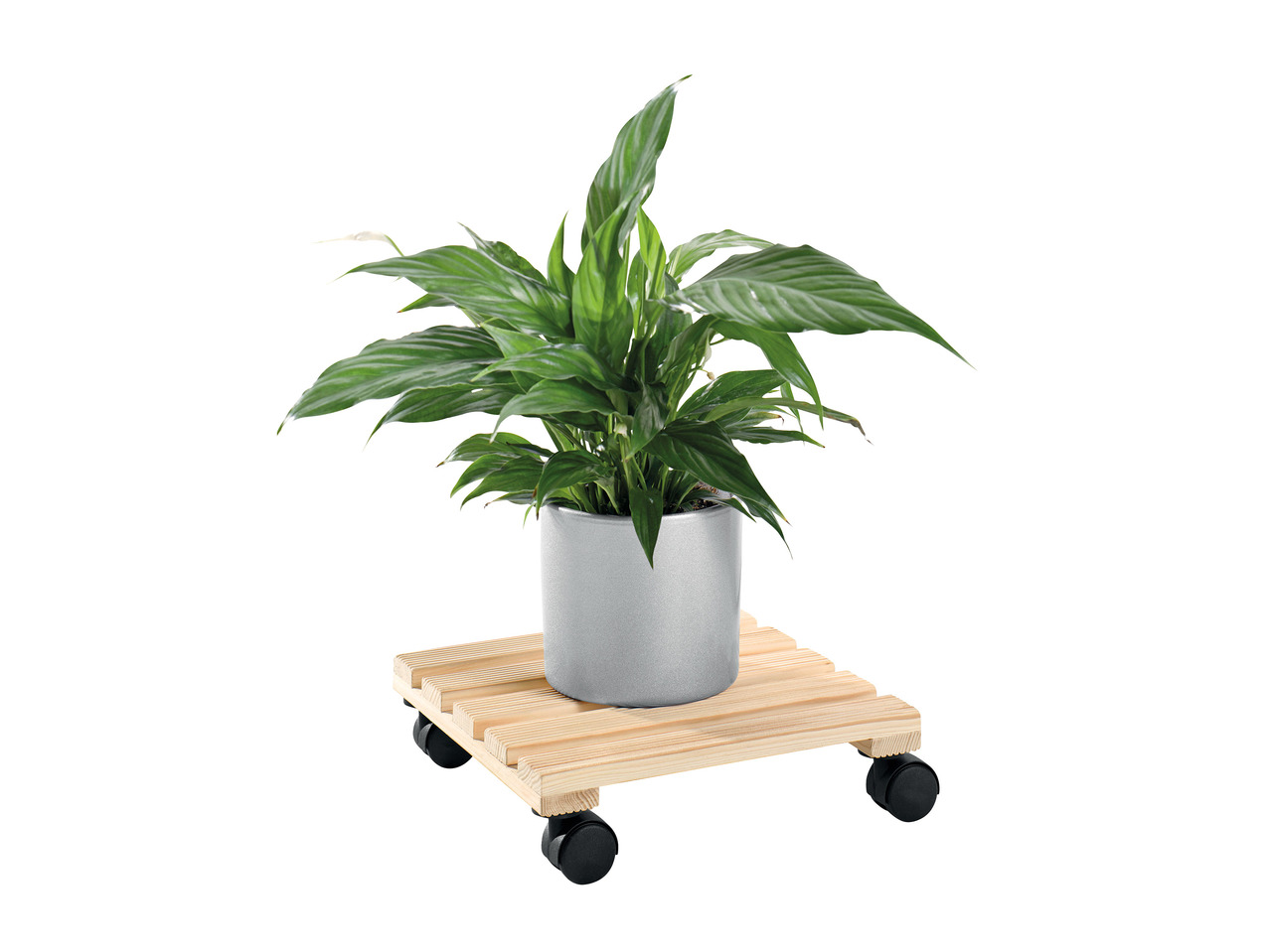 Livarno Living Plant Roller1