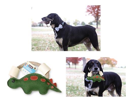 Heart to Tail 
 Rope & Bone Dog Toy