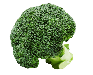 Broccoli**